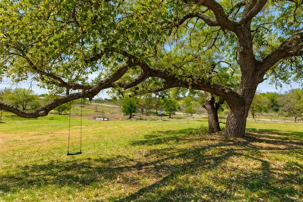 a view of outdoor space with trees all around