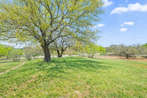 a view of a yard with large trees