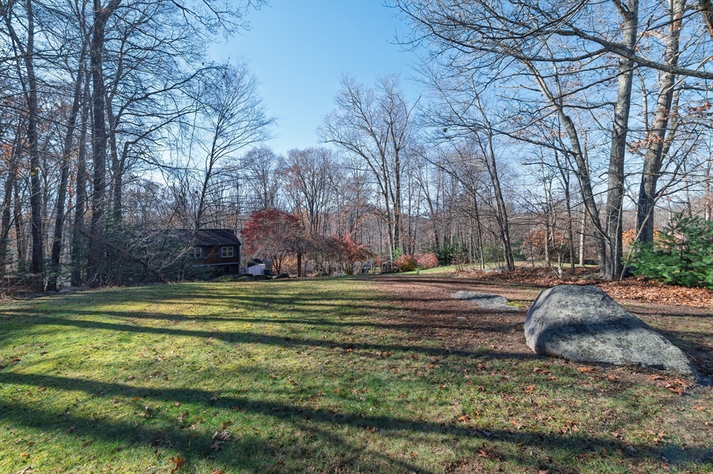 12 Hickory Road Millville, MA 01529 - Photo 7 of 41 a garden view with large trees