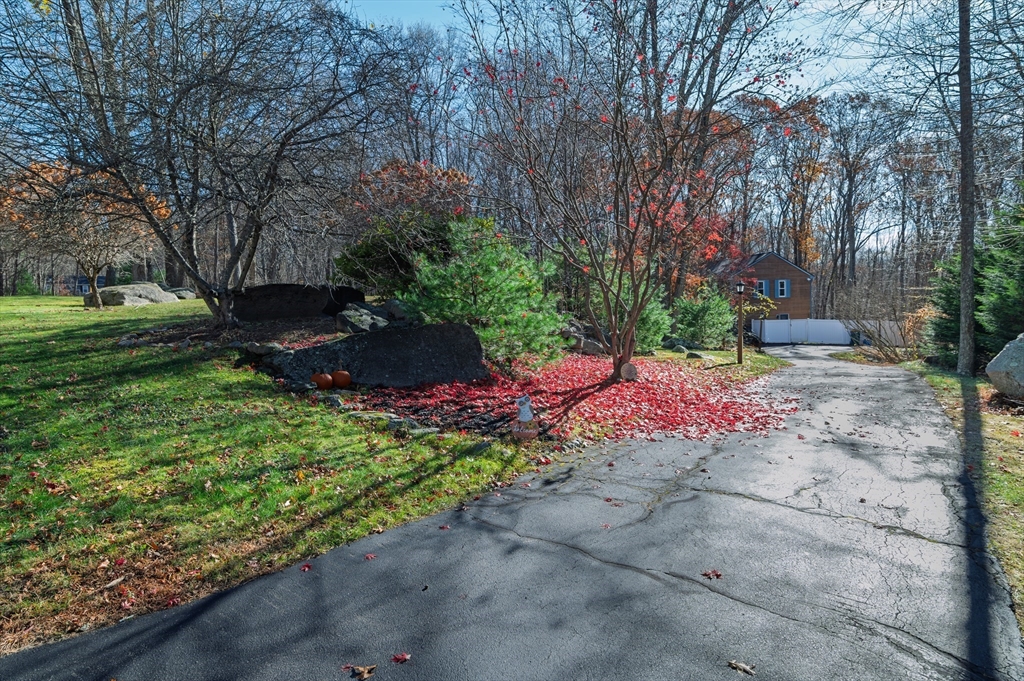 12 Hickory Road Millville, MA 01529 - Photo 9 of 41 a backyard of a house with lots of green space