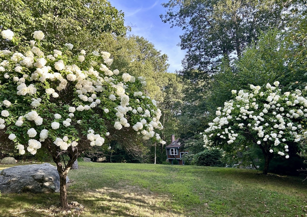 12 Hickory Road Millville, MA 01529 - Photo 10 of 41 a view of a tree with a yard