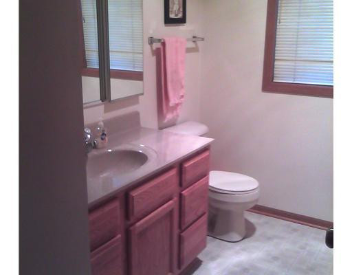13988 Aberdeen Road Gregory, MI 48137 - Photo 7 of 10 Photo 7