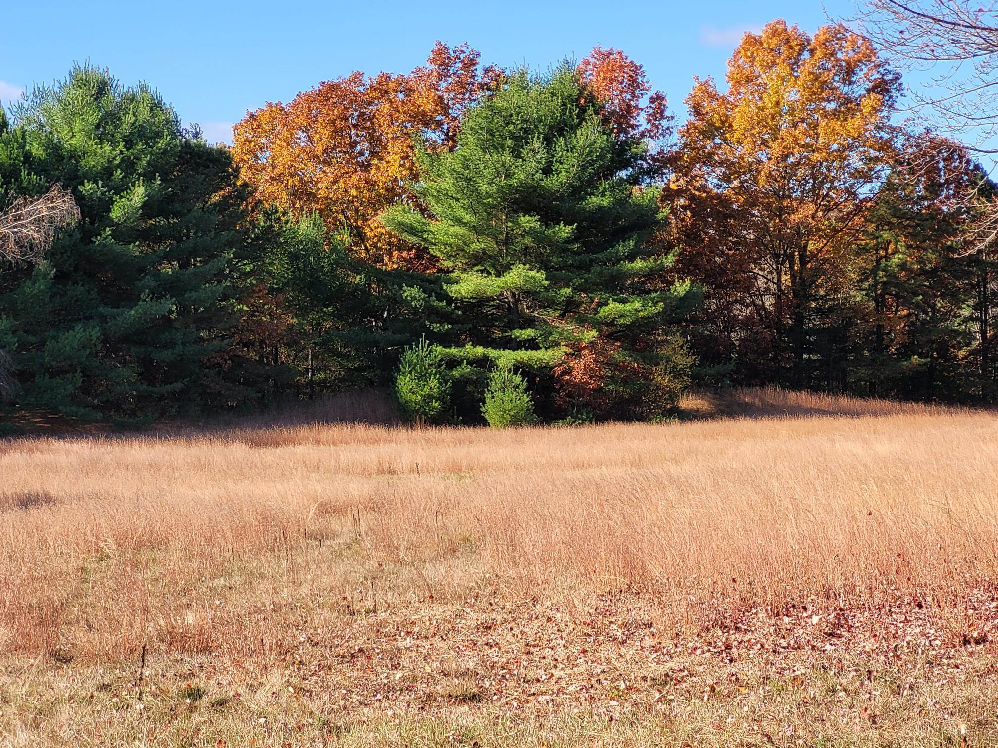 60 Old Colchester Road Essex Junction, VT 05452 - Photo 3 of 7