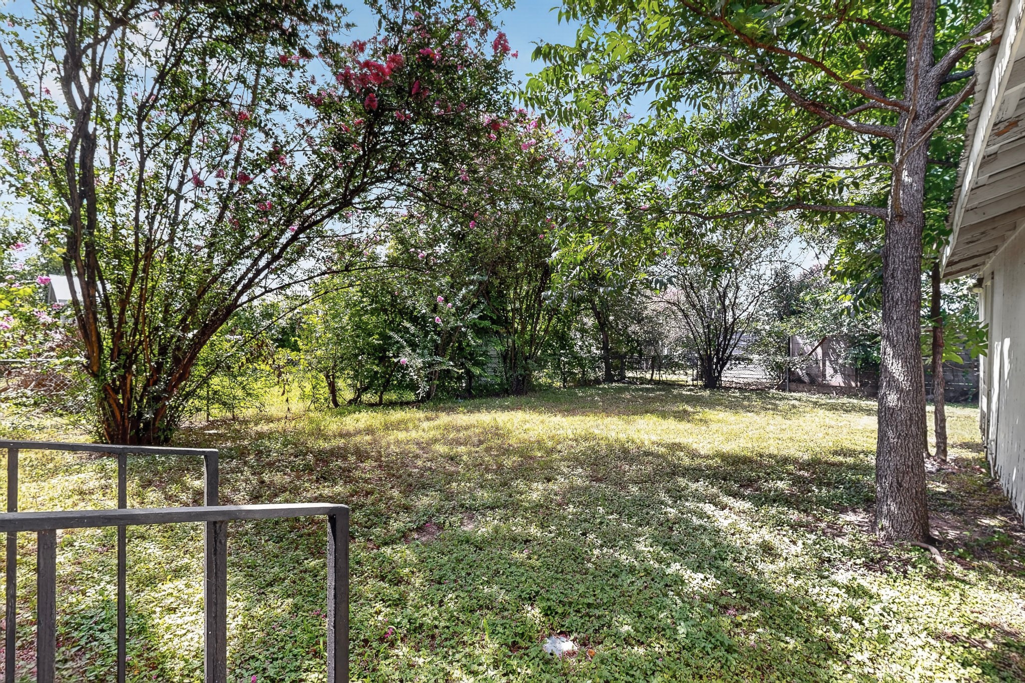4703 Leslie Avenue Austin, TX 78721 - Photo 34 of 34 A verdant outdoor sanctuary unfolds, offering a private setting with mature trees and blooming foliage.
