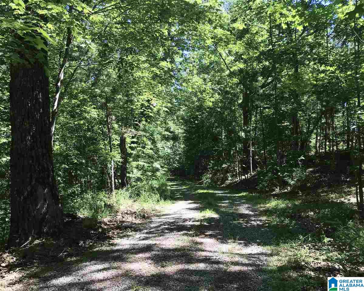 555 Cherokee Loop Oneonta, AL 35121 - Photo 12 of 12