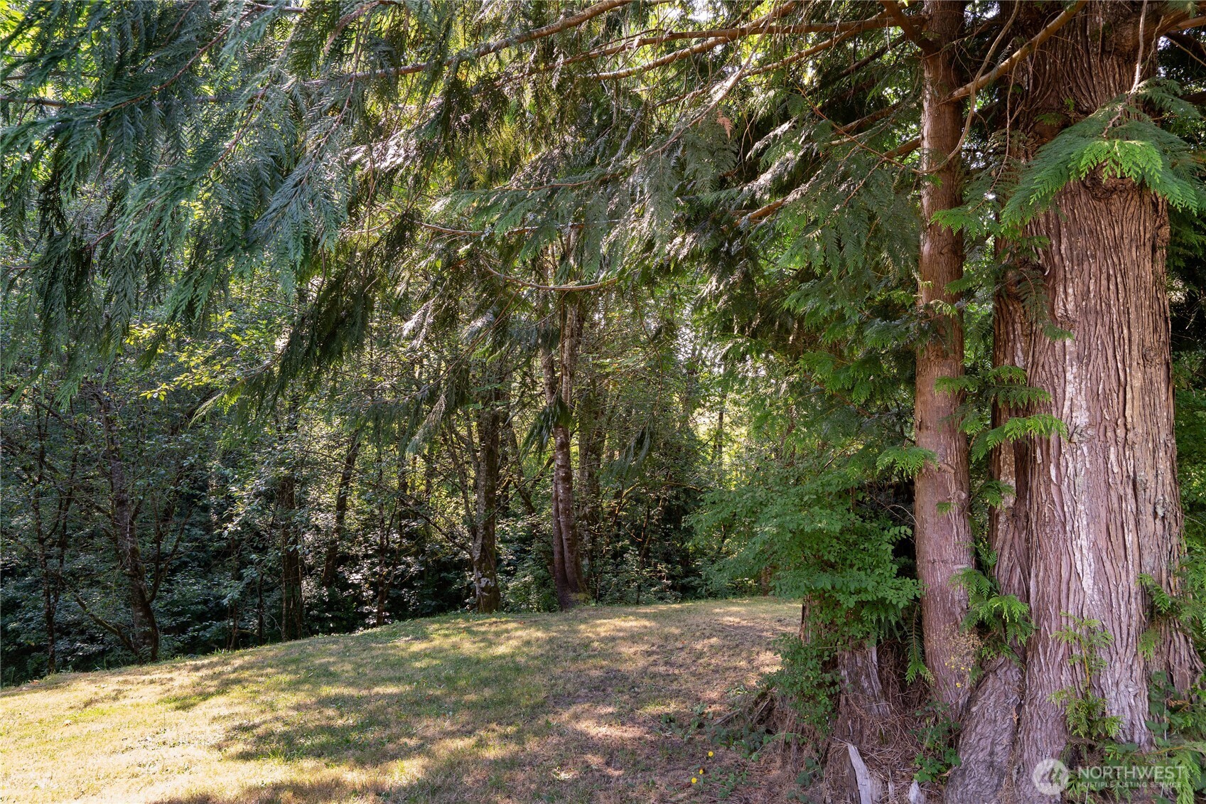 420 Proffitt Road Centralia, WA 98531 - Photo 20 of 22 Gallery Image 20