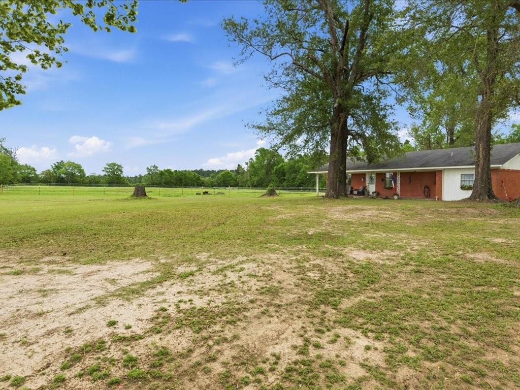 1085 Duke Road Kennard, TX 75847 - Photo 22 of 40 Expansive green field extending to the horizon, featuring mature trees providing shade to the property