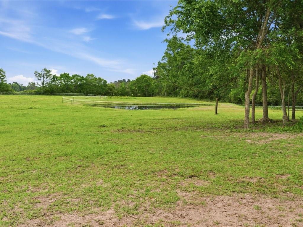 1085 Duke Road Kennard, TX 75847 - Photo 24 of 40 Expansive green pastureland with a partial pond
