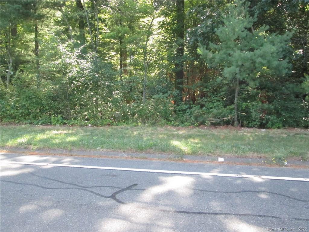 785 Prospect Hill Road Windsor, CT 06095 - Photo 1 of 1 a view of a yard with a tree