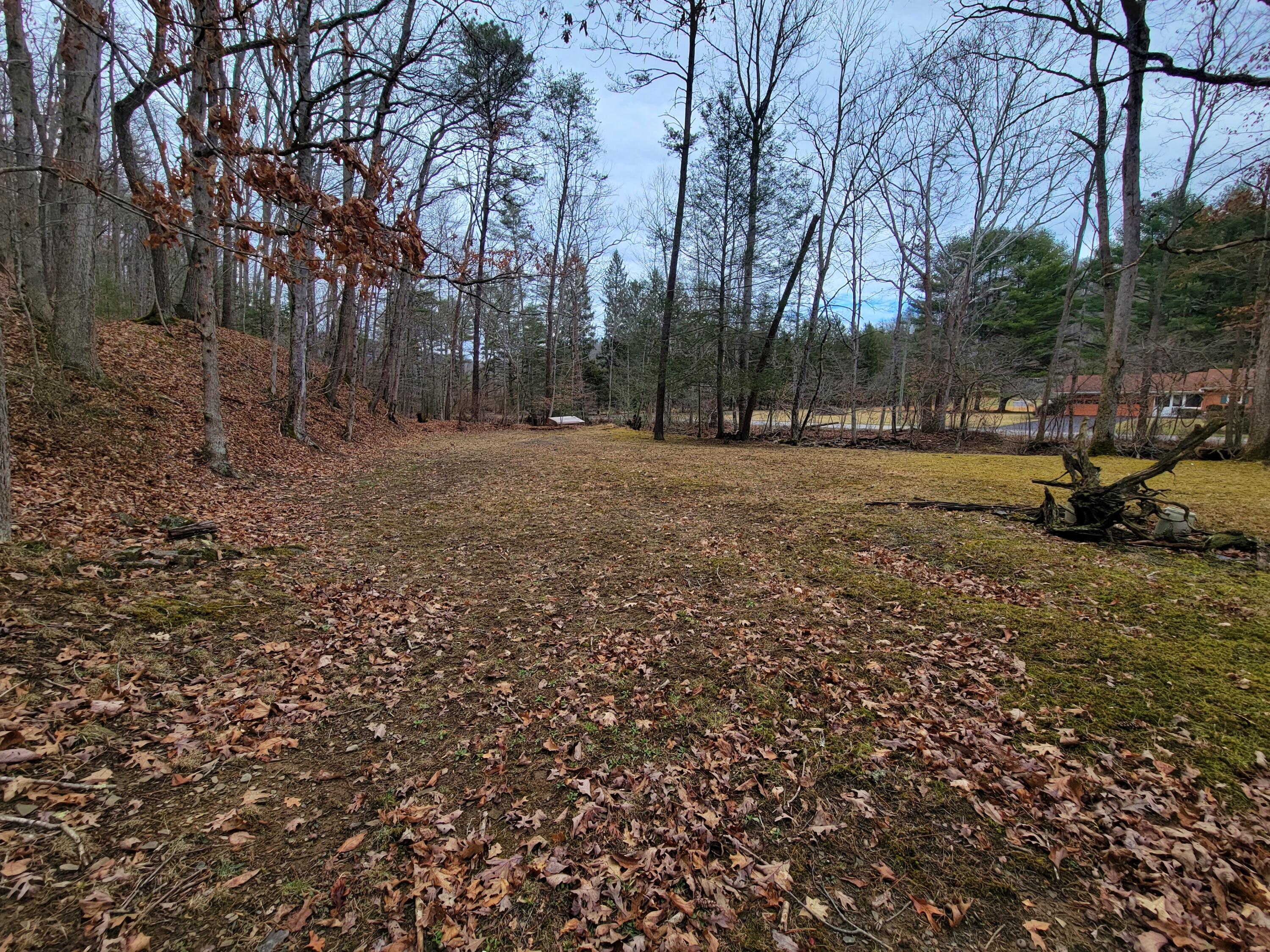 1270 Harts Run Road Caldwell, WV 24925 - Photo 30 of 46 Gallery Image 30