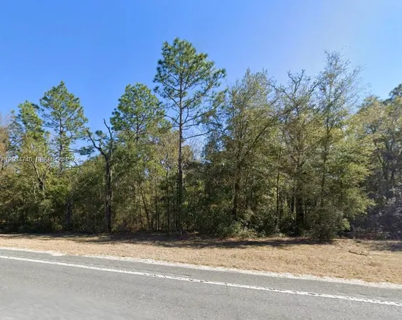 $22,000 | Lot 2 Str 121, Williston, FL 32696