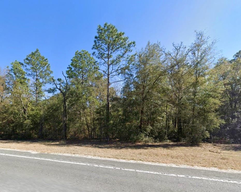 Lot 2 Str 121 Williston, FL 32696 - Photo 1 of 7