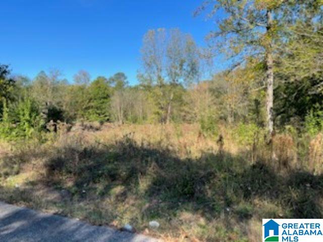 30 Bannerman Road Southwest, Unit LOTS 7 & Bessemer, AL 35022 - Photo 3 of 6