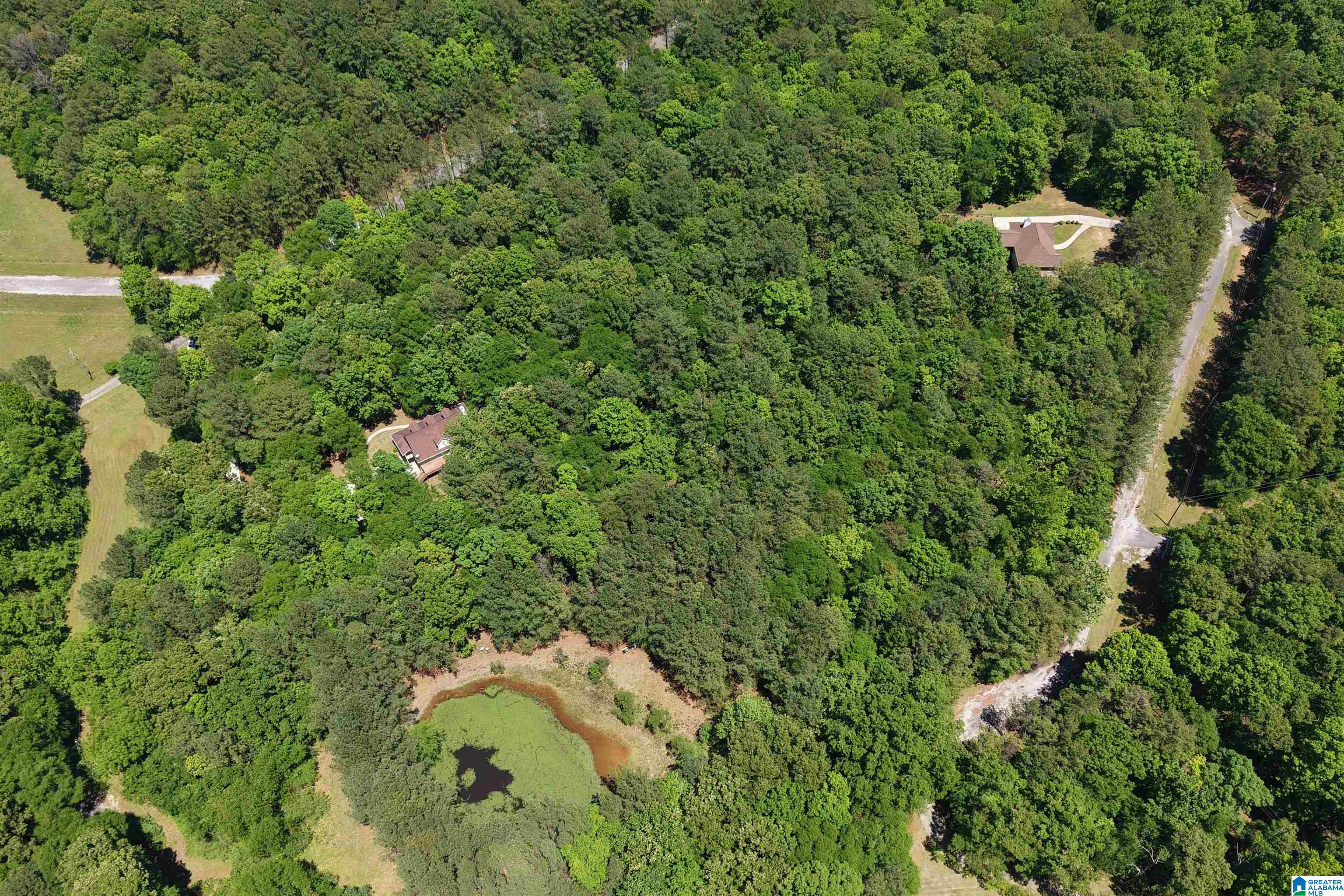 360 Cornelia Road Brierfield, AL 35035 - Photo 51 of 67