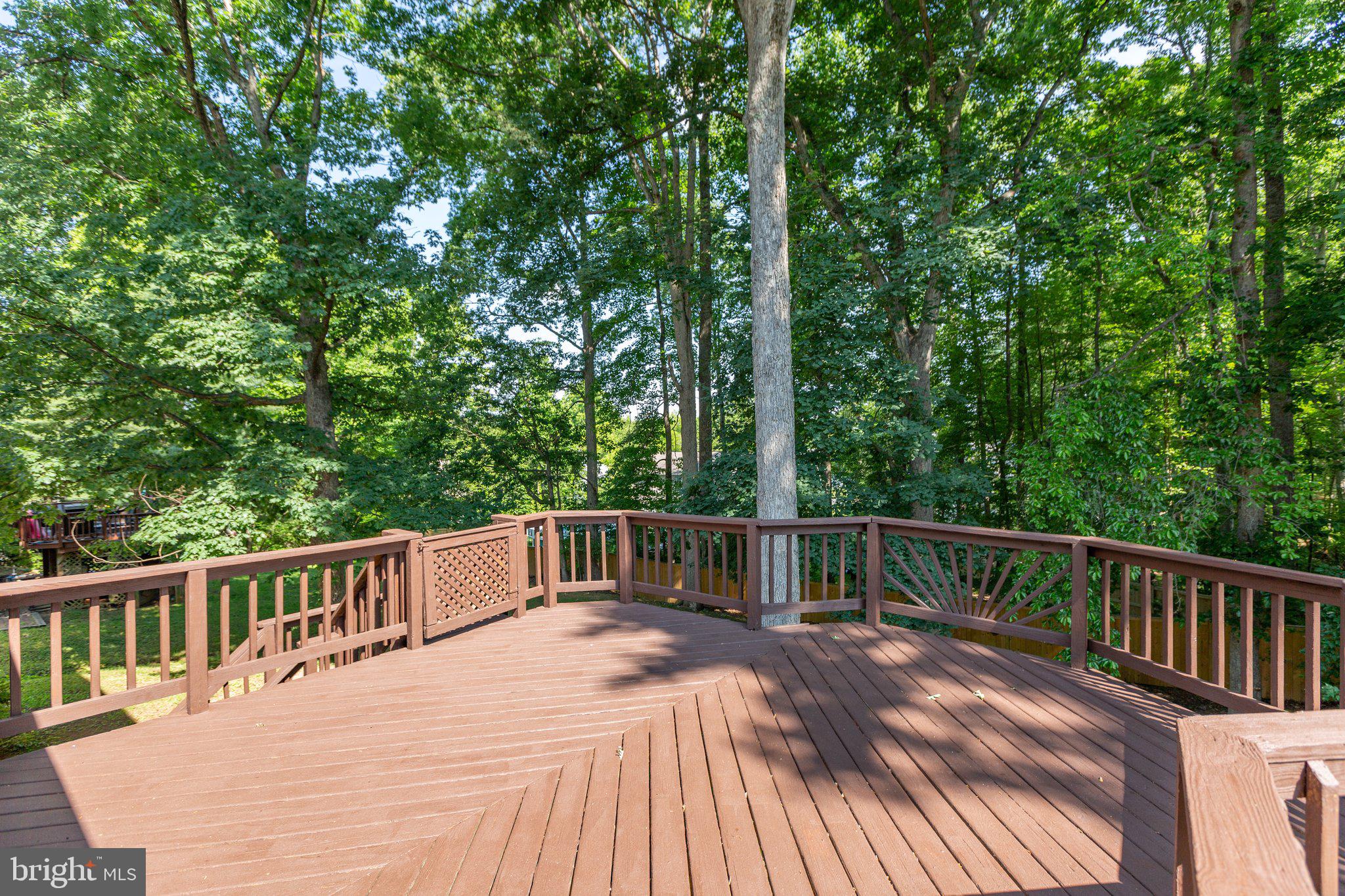 235 Choptank Road Stafford, VA 22556 - Photo 42 of 46 Deck