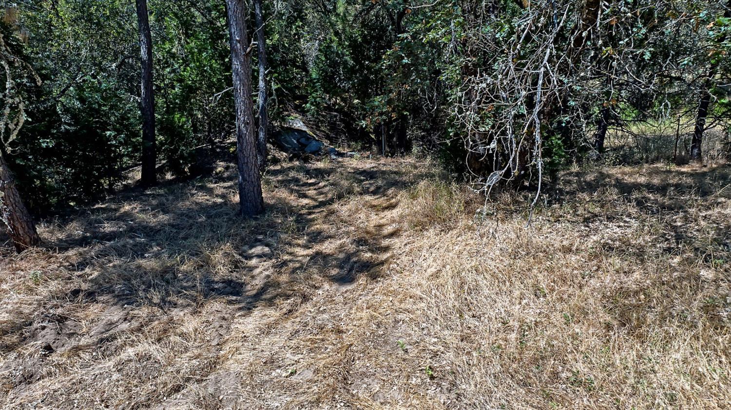 7071 Perry Creek Road Somerset, CA 95684 - Photo 35 of 50