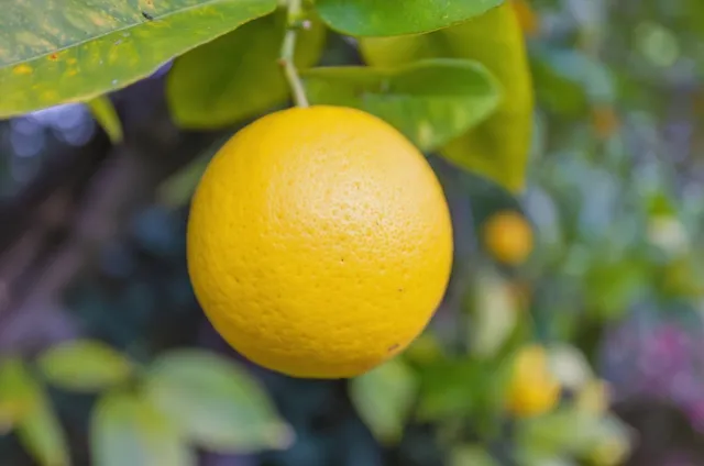 $2,290,000 | 2024 Eaton Avenue, San Carlos, CA 94070