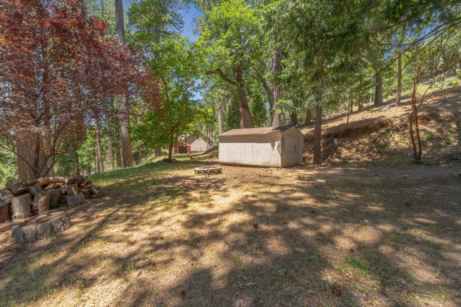 5341 Edelweiss Way Pollock Pines, CA 95726 - Photo 38 of 48