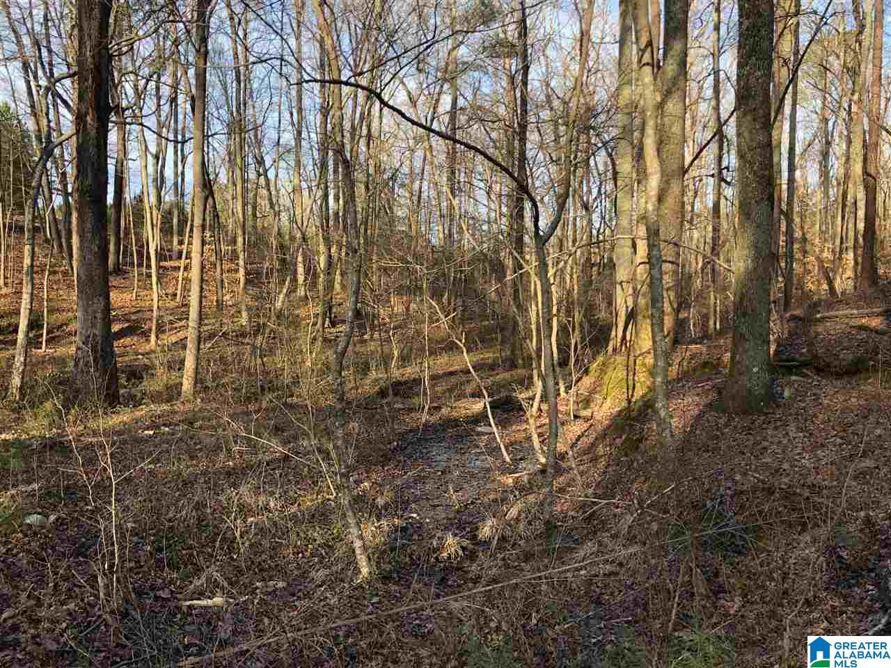 0 Drake Drive Springville, AL 35146 - Photo 6 of 23
