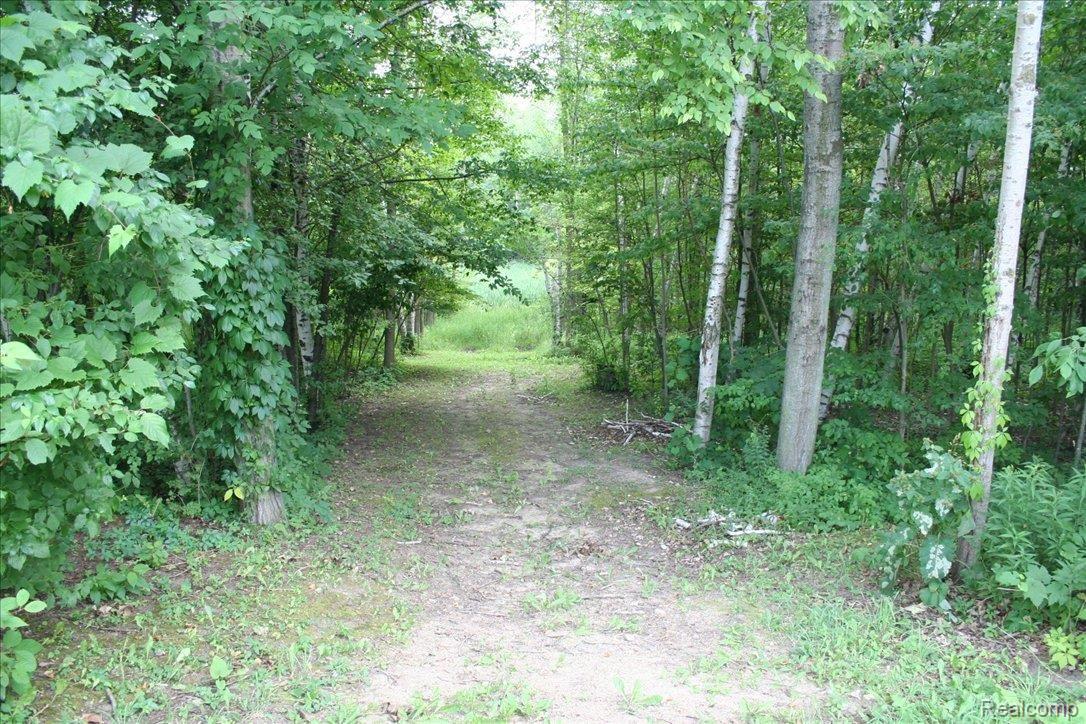 3295 Huron Line Road Cass City, MI 48726 - Photo 13 of 14 Huron Line Rd Trail2