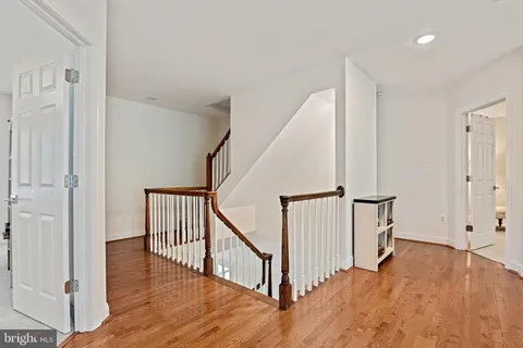 a view of a yard with of trees