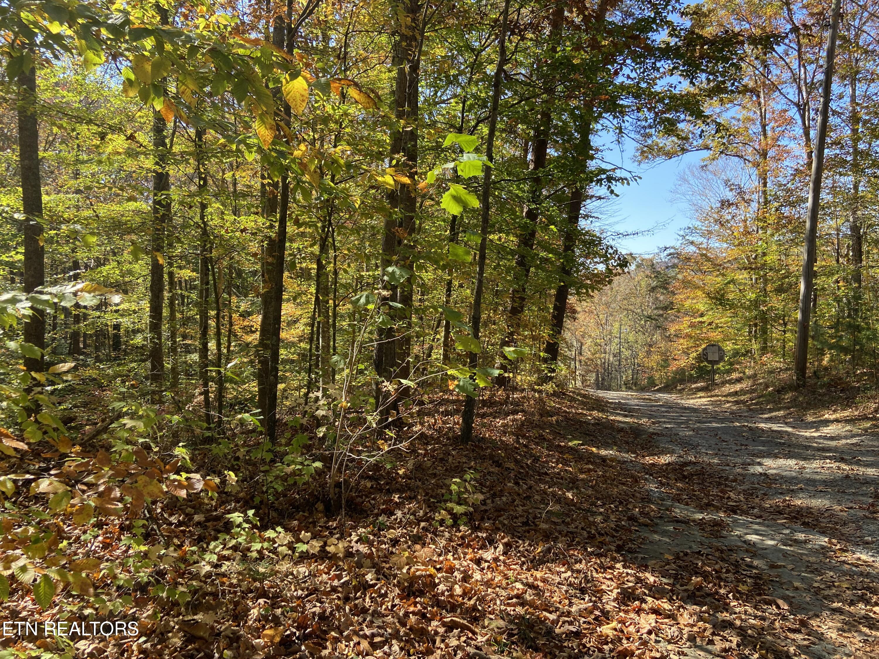 Jupiter Way Dandridge, TN 37725 - Photo 2 of 13 Jupiter Way