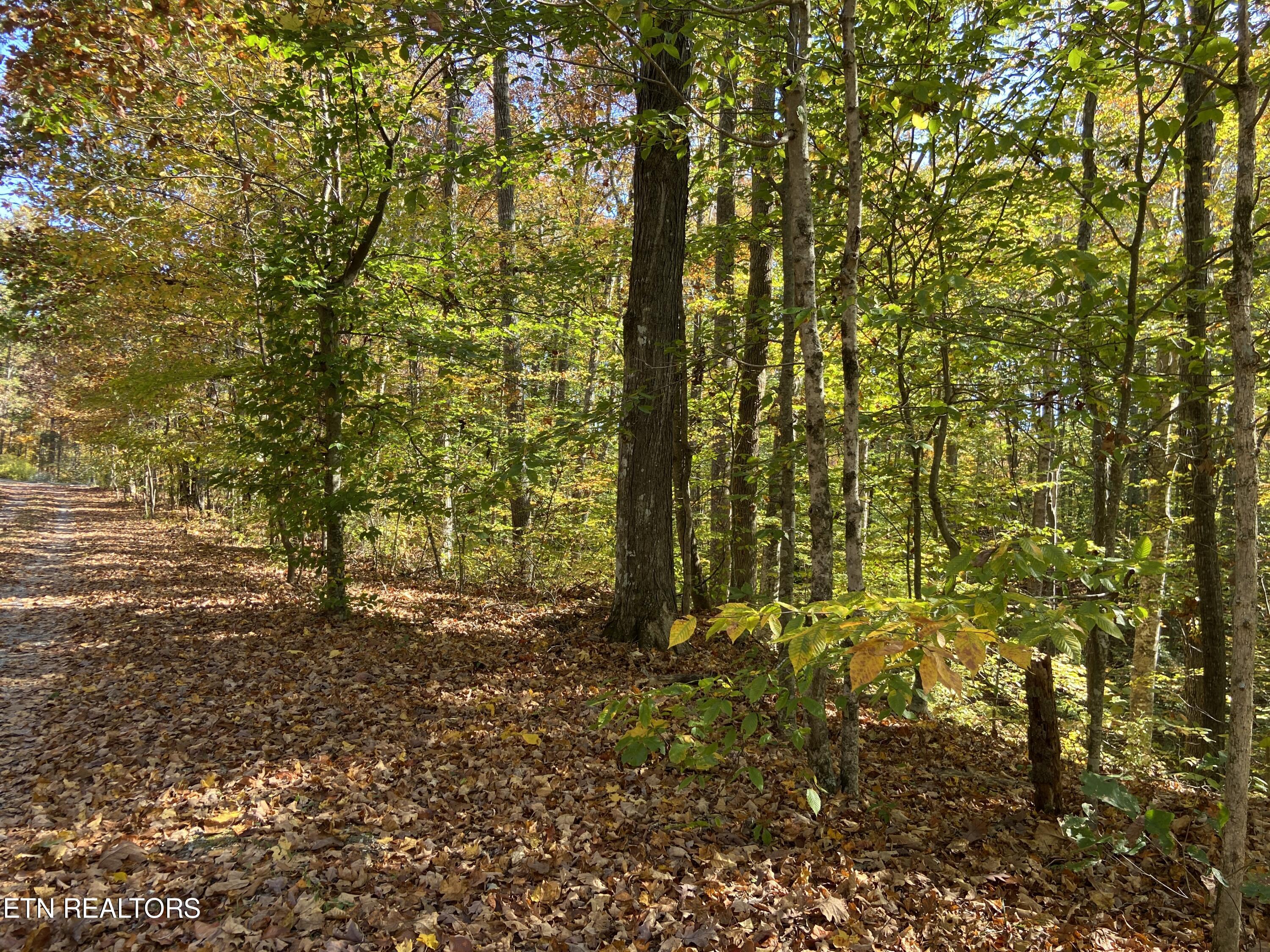 Jupiter Way Dandridge, TN 37725 - Photo 3 of 13 Jupiter Way