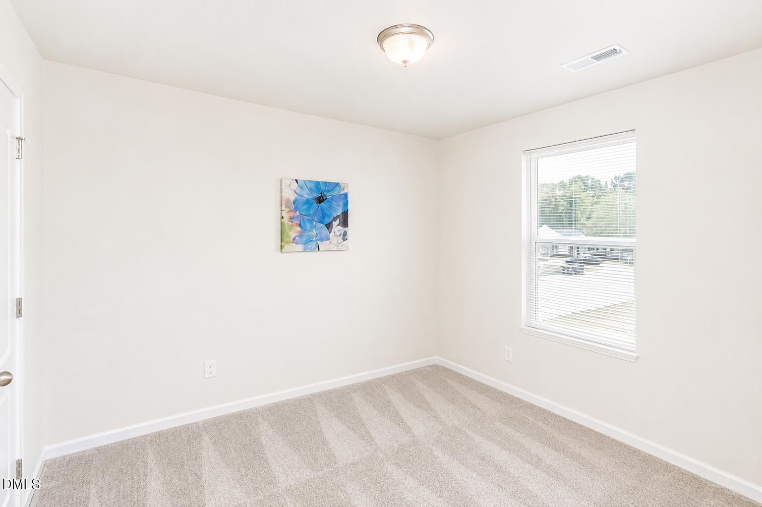 1205 Fescue Road Rocky Mount, NC 27801 - Photo 10 of 17 New paint! Walk in closet!