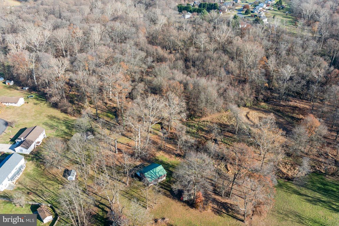 20 Cox Road Colora, MD 21917 - Photo 32 of 38 a view of a forest with houses