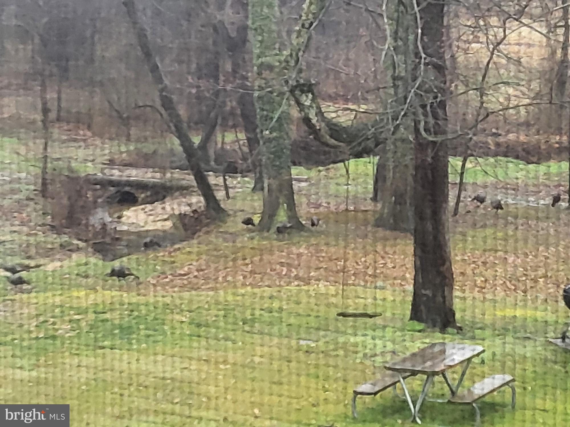 20 Cox Road Colora, MD 21917 - Photo 34 of 38 a view of outdoor space with a garden