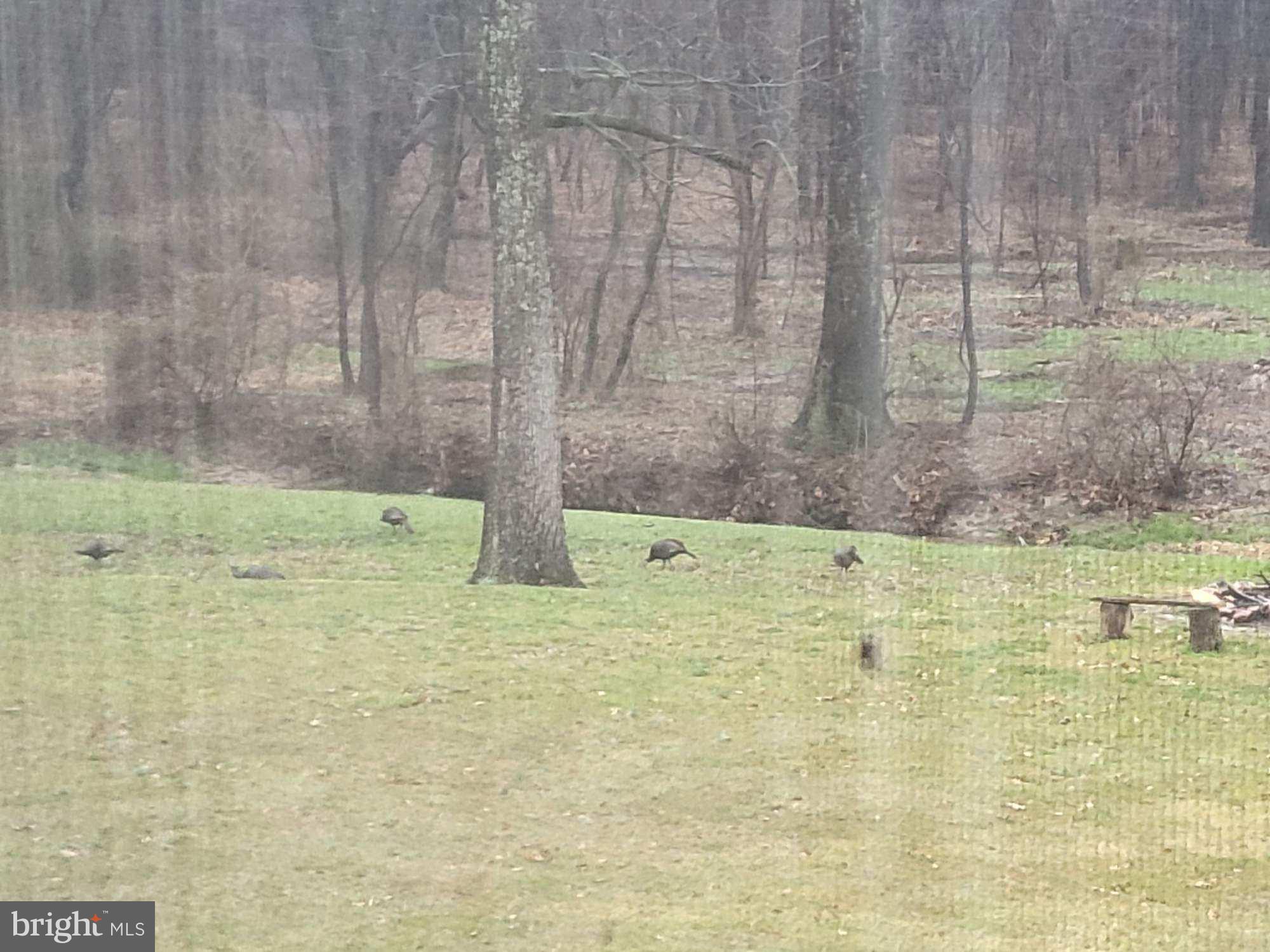 20 Cox Road Colora, MD 21917 - Photo 35 of 38 a view of swimming pool