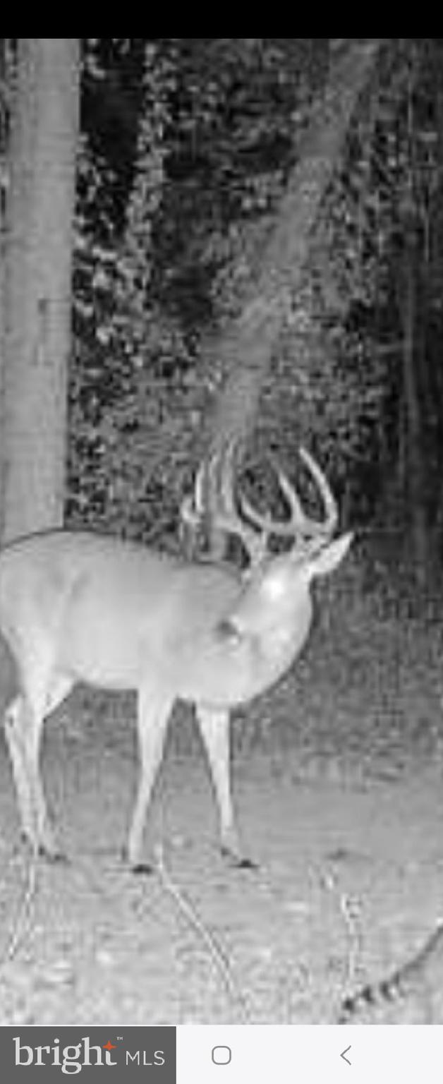 20 Cox Road Colora, MD 21917 - Photo 37 of 38 a view of water heater