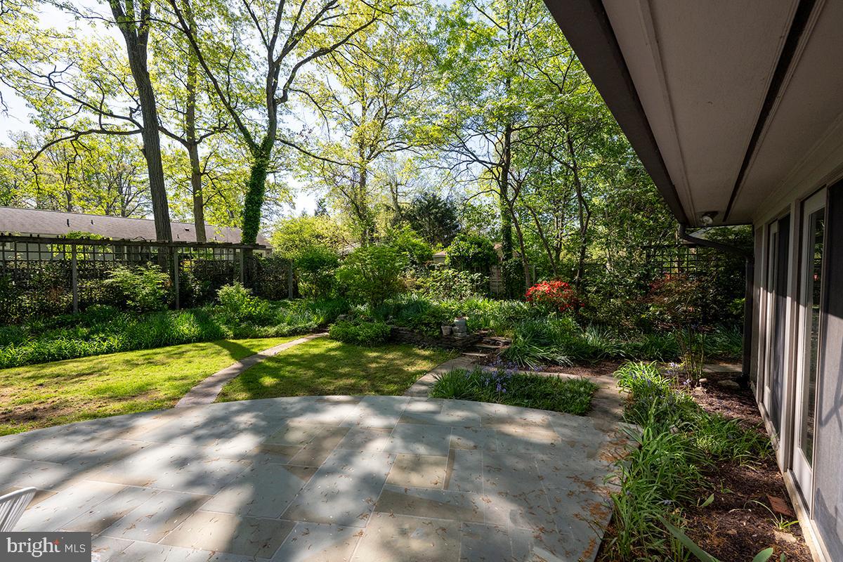 3430 Blair Road Falls Church, VA 22041 - Photo 31 of 40 a view of backyard with plants and large trees