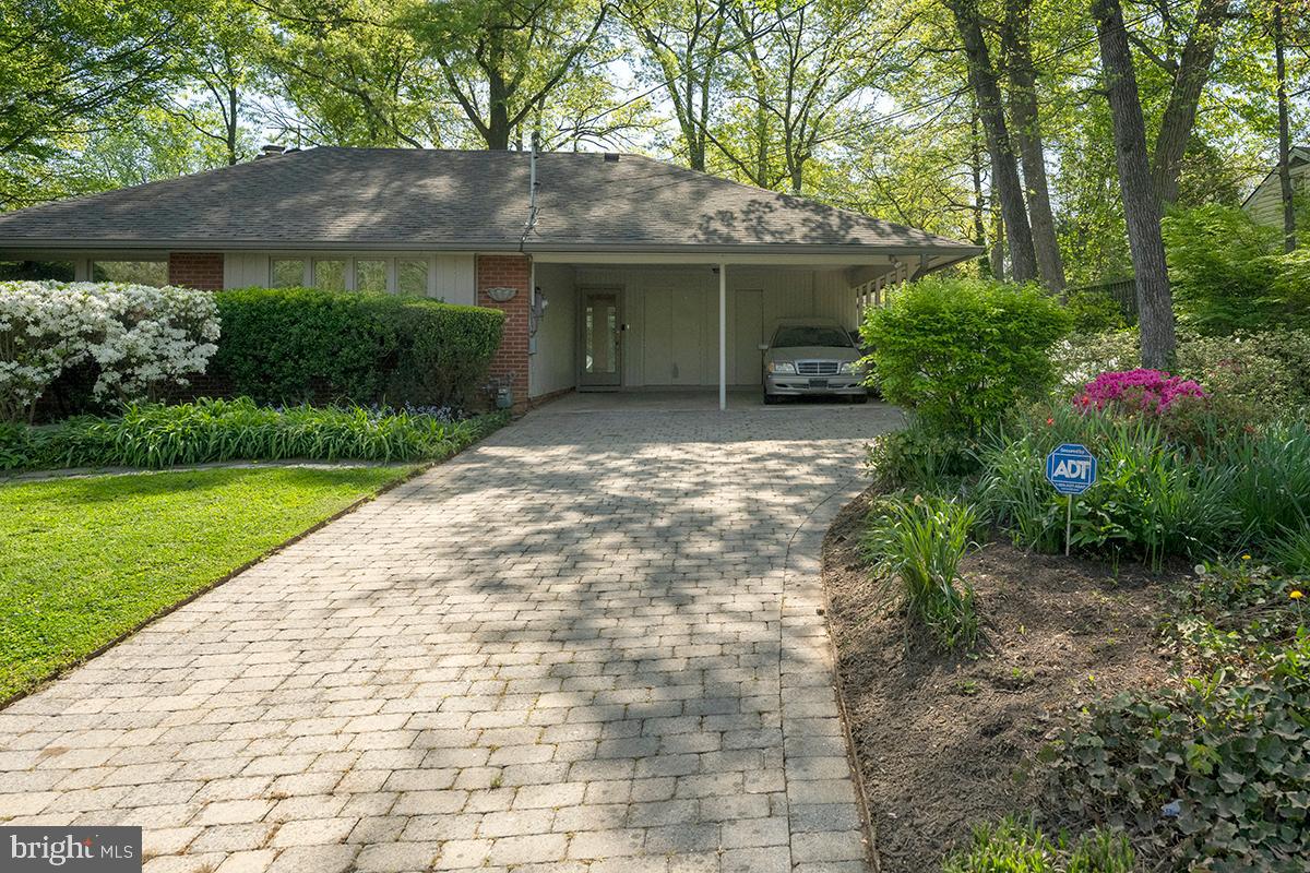 3430 Blair Road Falls Church, VA 22041 - Photo 35 of 40 a backyard of a house with plants and large tree