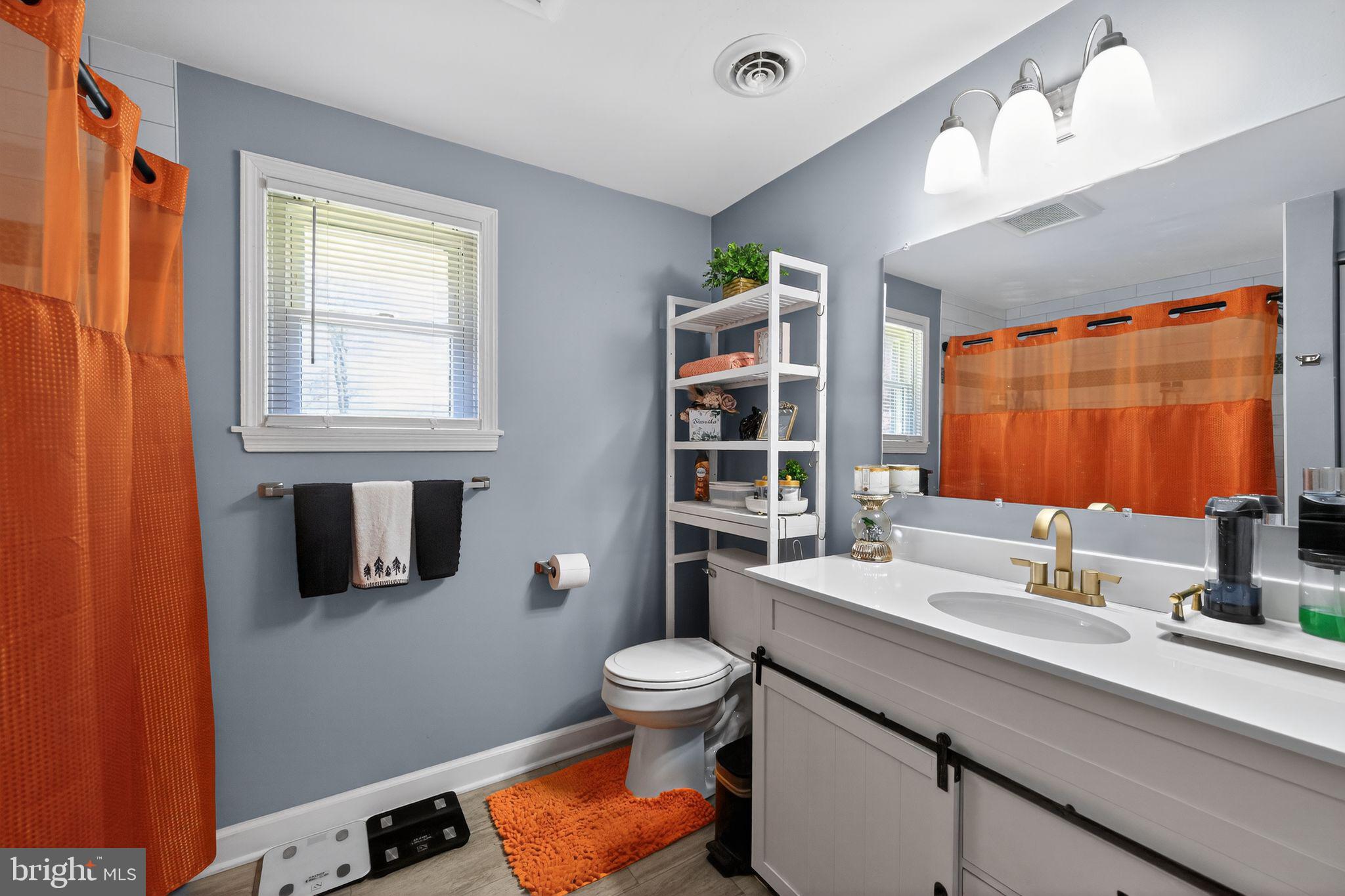 525 Mountain Road Dillsburg, PA 17019 - Photo 25 of 53 a bathroom with a sink a toilet and shower