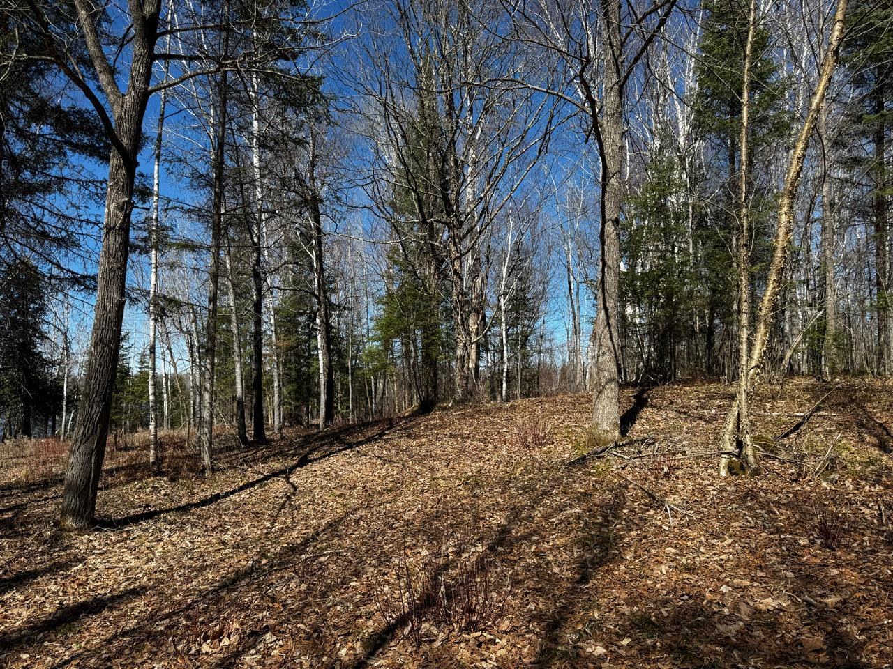 417 Barrel Road Ely, MN 55731 - Photo 8 of 12
