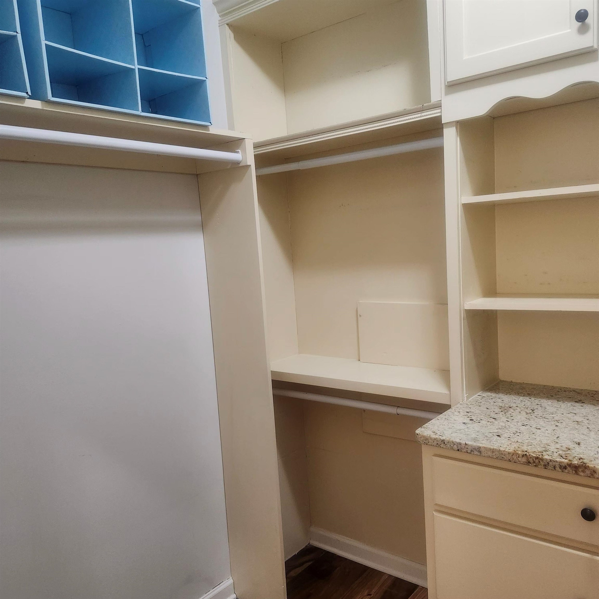 1497 Castle Pines Circle, Unit 18 Collierville, TN 38017 - Photo 7 of 23 Walk in closet with dark wood finished floors