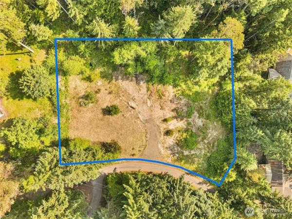 a view of a yard with a tree