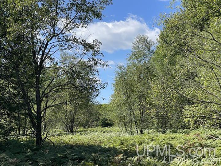 220 W Ford Lake Road Germfask, MI 49836 - Photo 26 of 26