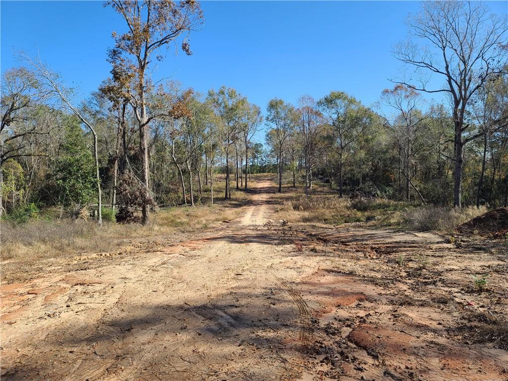 470 Hudson Creek Road Colfax, LA 71417 - Photo 1 of 12 Gallery Image 1