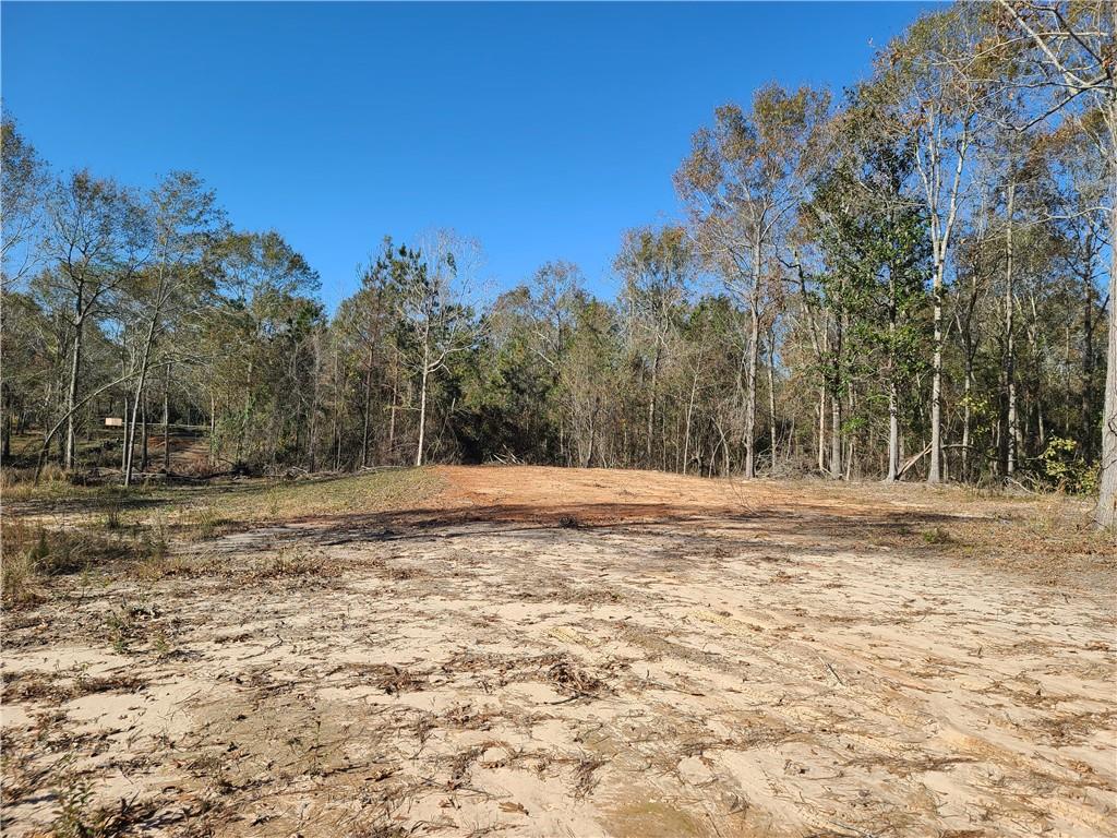 470 Hudson Creek Road Colfax, LA 71417 - Photo 4 of 12 Gallery Image 4
