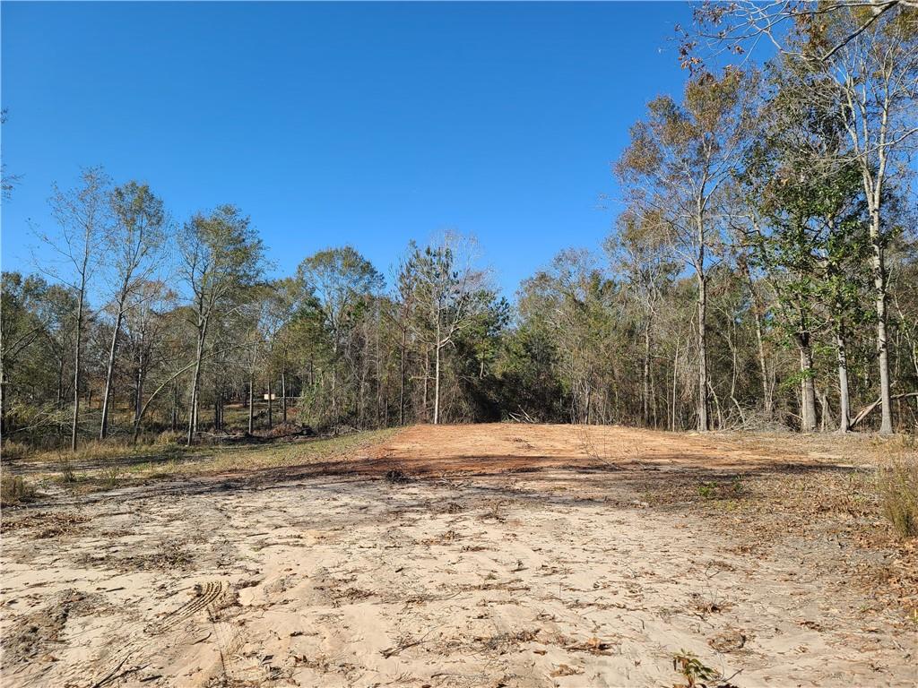 470 Hudson Creek Road Colfax, LA 71417 - Photo 7 of 12 Gallery Image 7