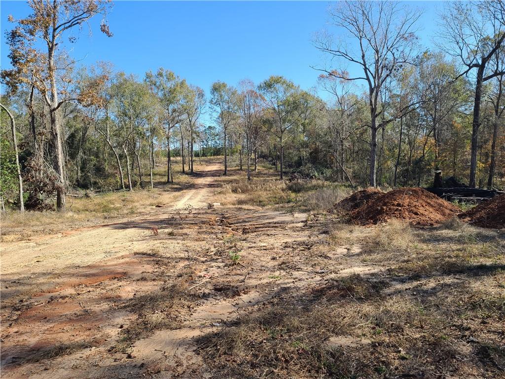 470 Hudson Creek Road Colfax, LA 71417 - Photo 9 of 12 Gallery Image 9