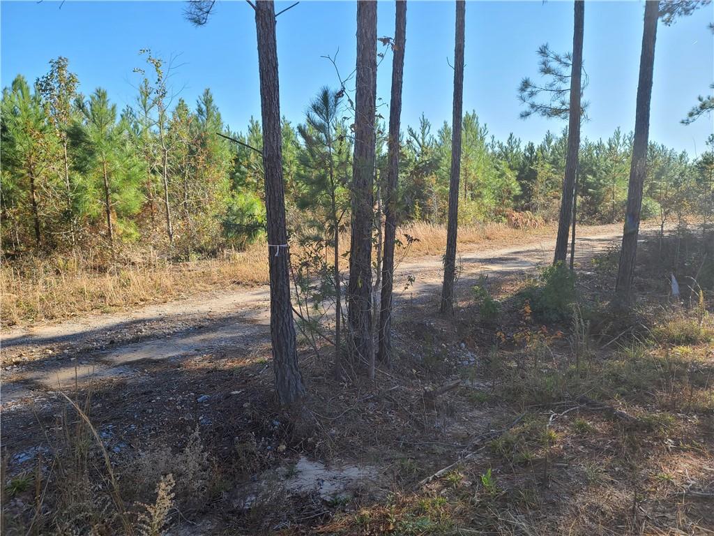 470 Hudson Creek Road Colfax, LA 71417 - Photo 10 of 12 Gallery Image 10