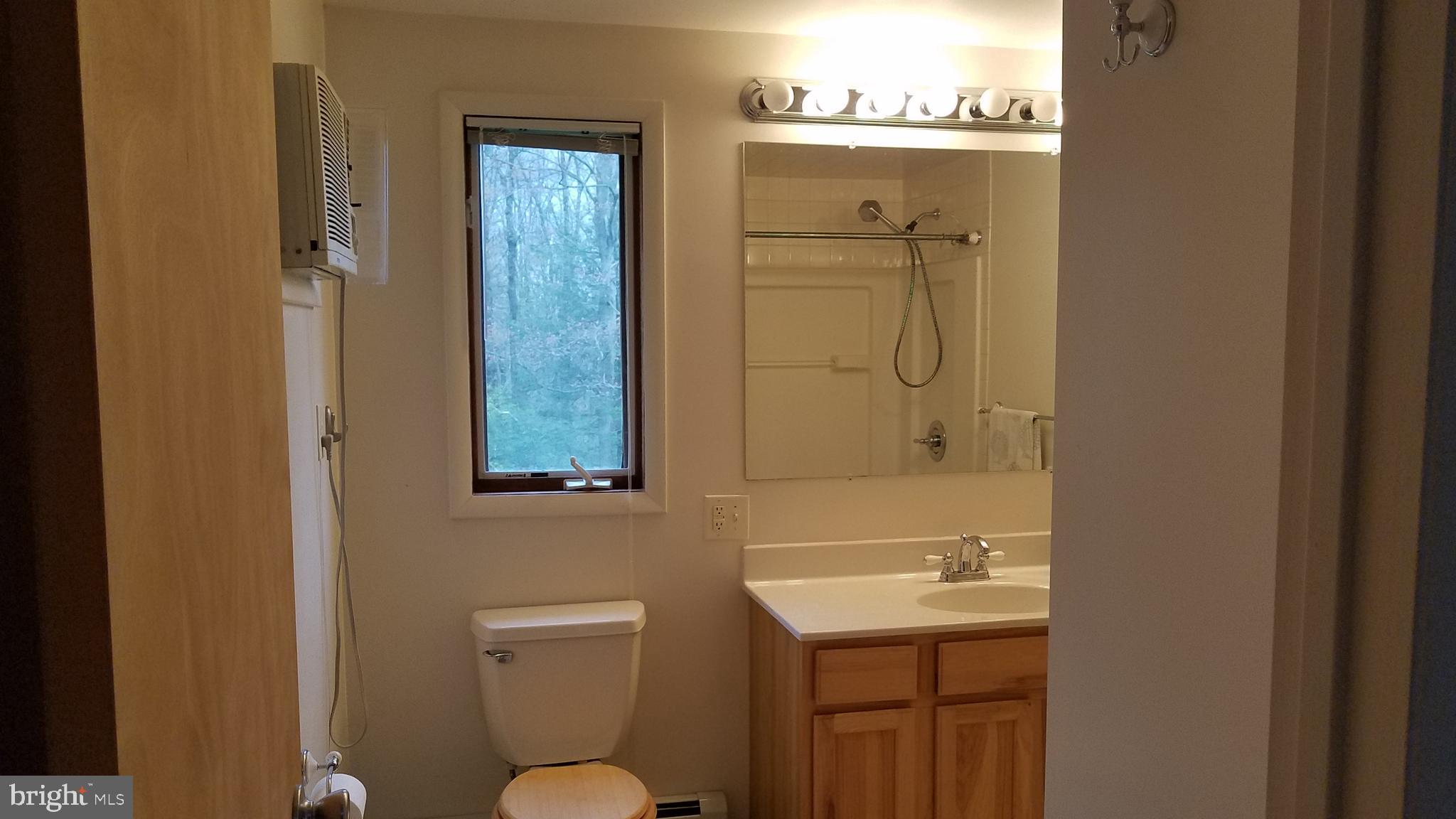 243 Whitetail Crossing Road Tamaqua, PA 18252 - Photo 17 of 30 Master Bathroom with step in shower