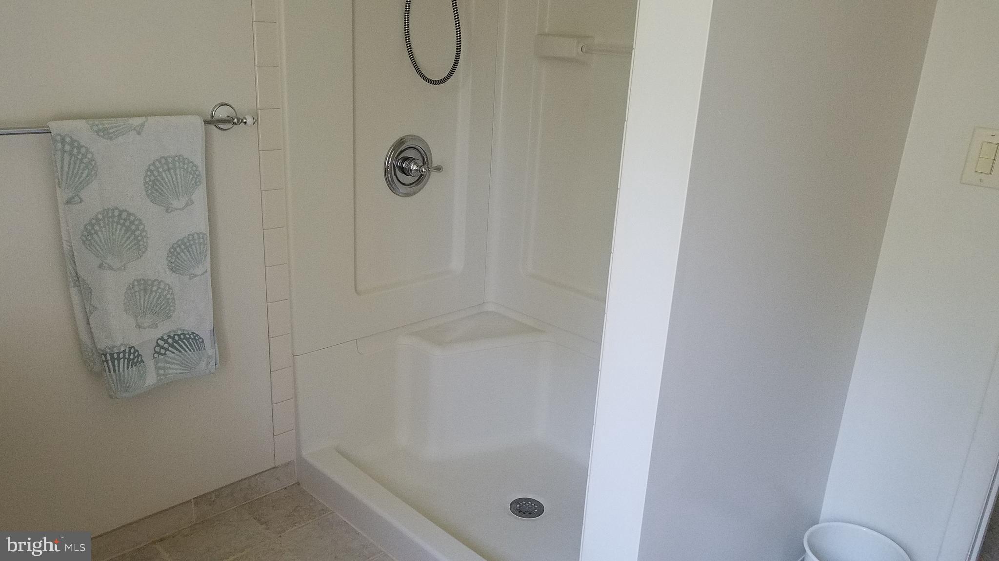 243 Whitetail Crossing Road Tamaqua, PA 18252 - Photo 18 of 30 Master Bath with step in shower