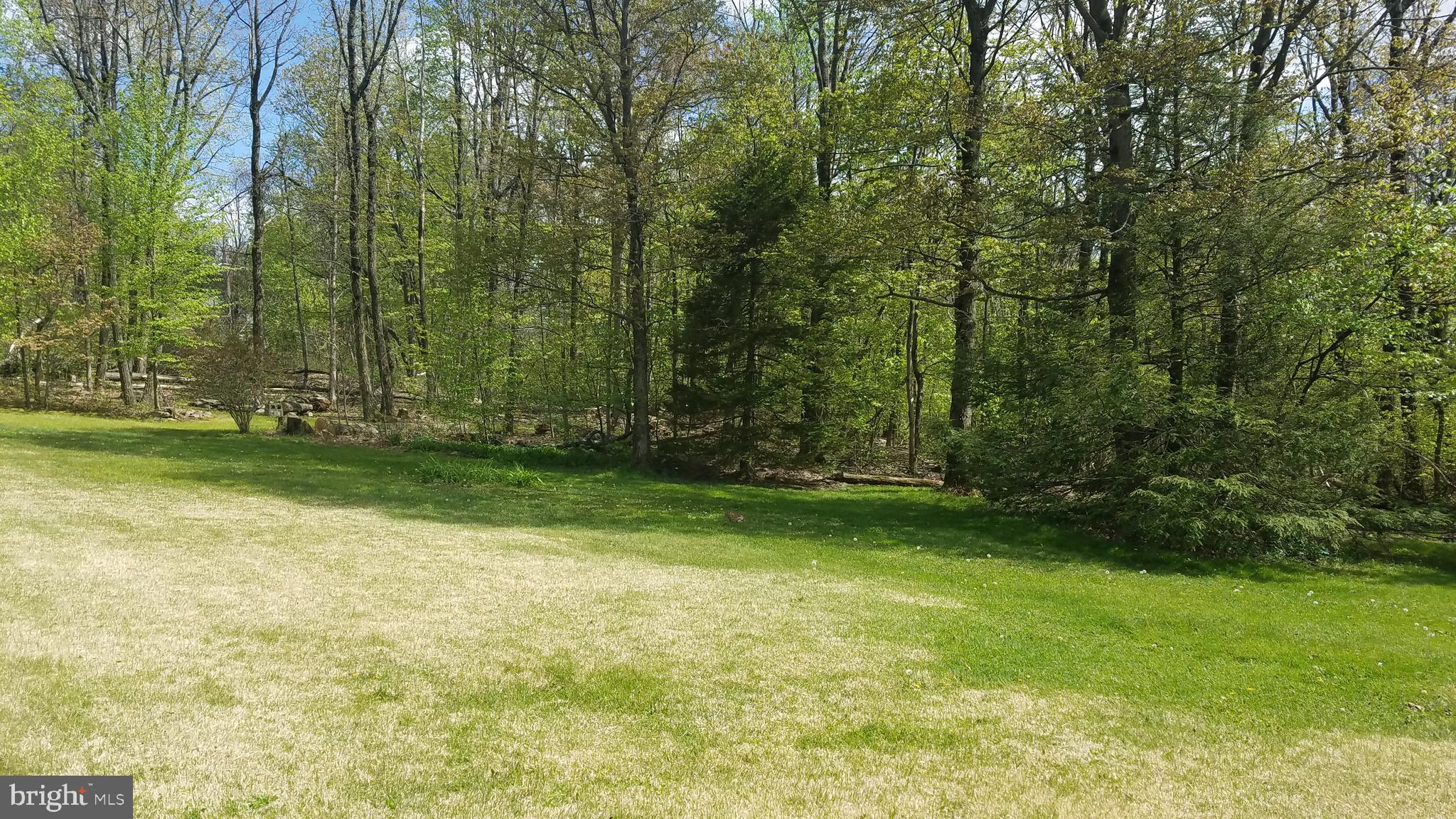 243 Whitetail Crossing Road Tamaqua, PA 18252 - Photo 24 of 30 Back Yard view 1.6 acres partially wooded