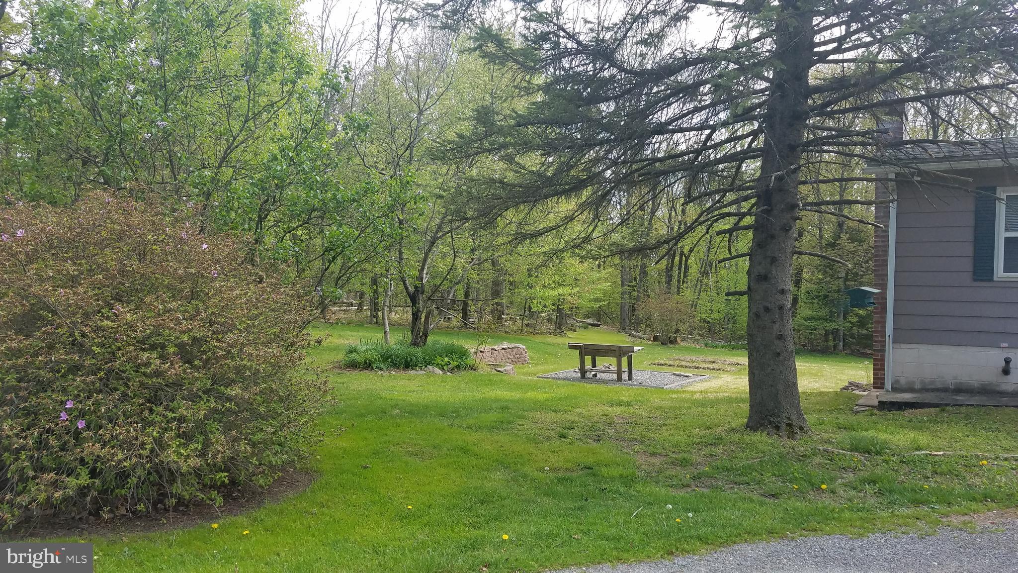 243 Whitetail Crossing Road Tamaqua, PA 18252 - Photo 27 of 30 Mature landscaping