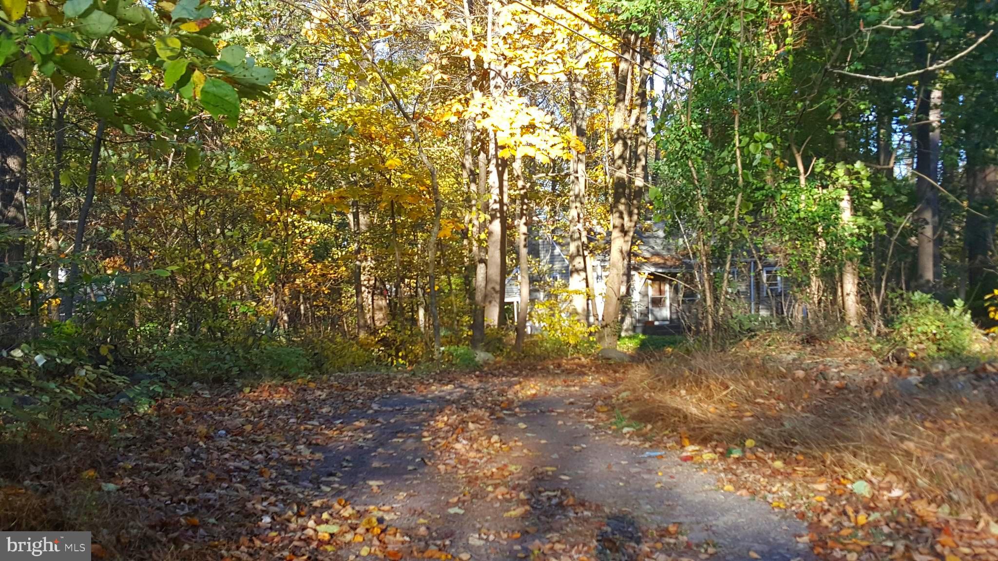 Front view of res., further back from the driveway