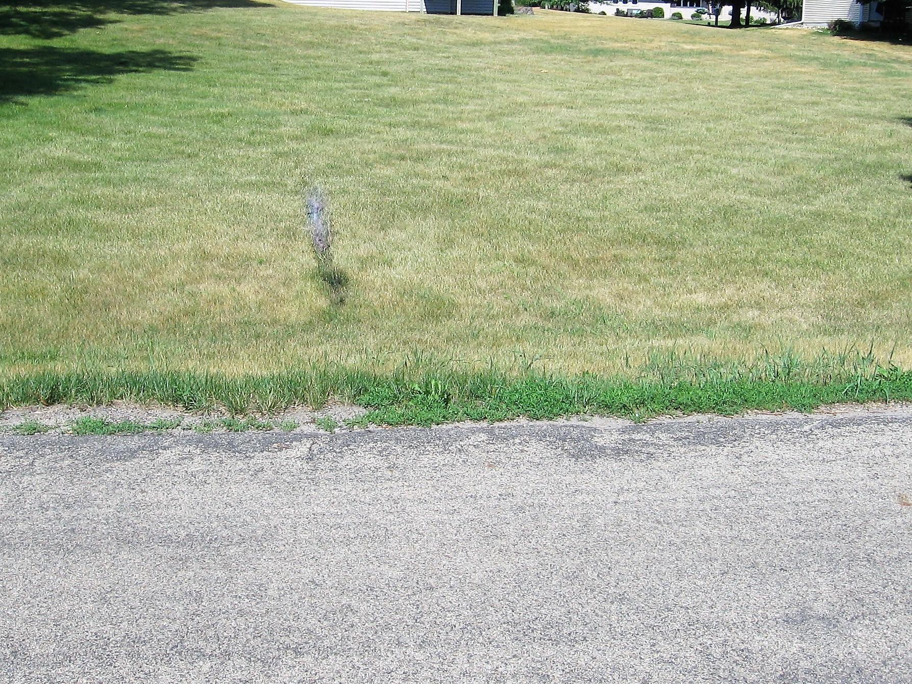1604 18th Street Southwest Austin, MN 55912 - Photo 2 of 6